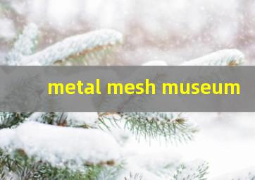  metal mesh museum